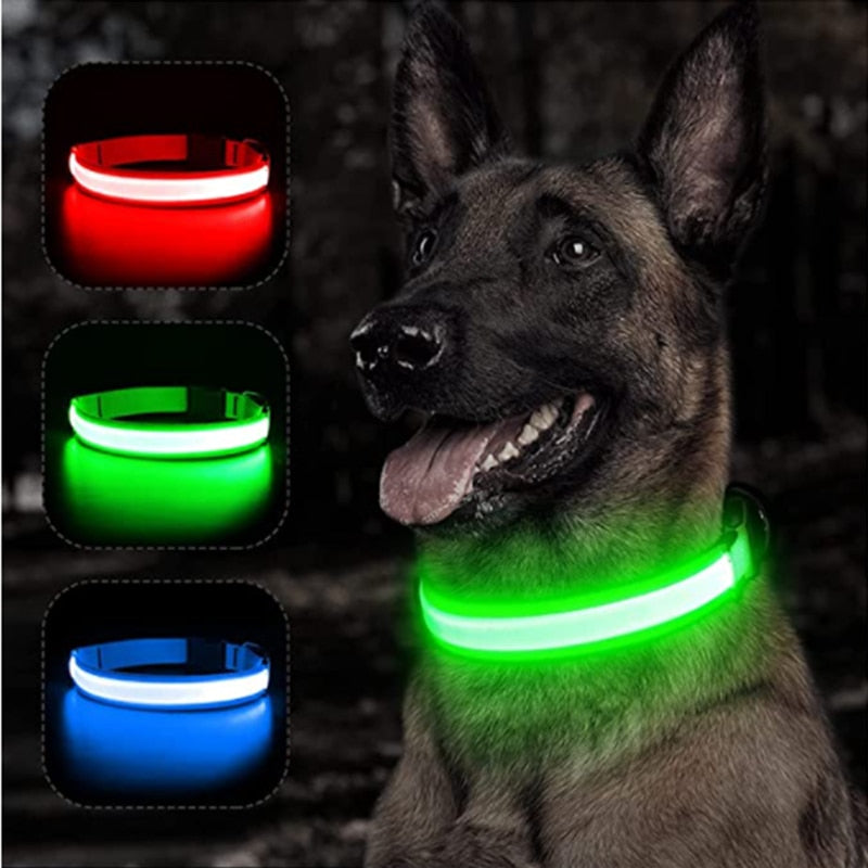 Coleira Dog Light com led para cães e gatos