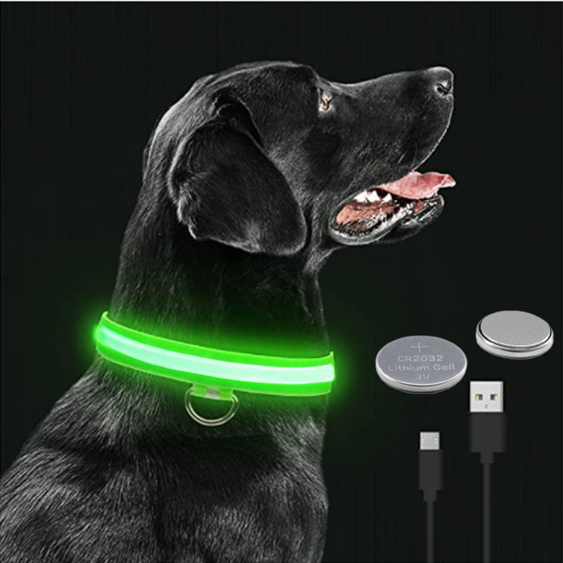 Coleira Dog Light com led para cães e gatos